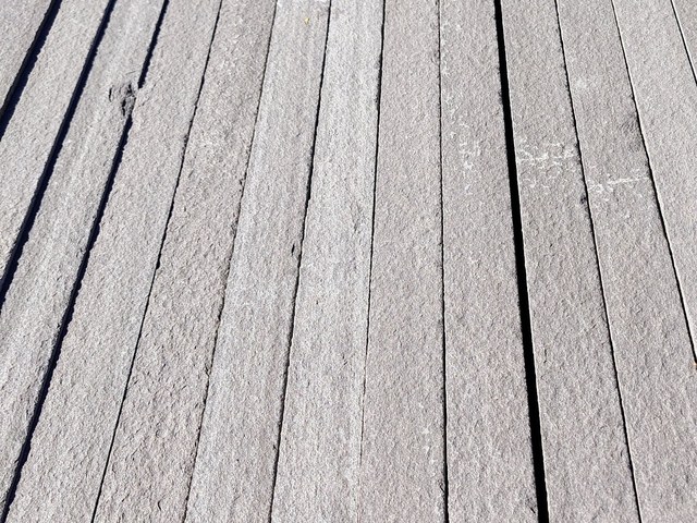 Bluestone Lilac